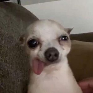 Meet your Posher, Kara